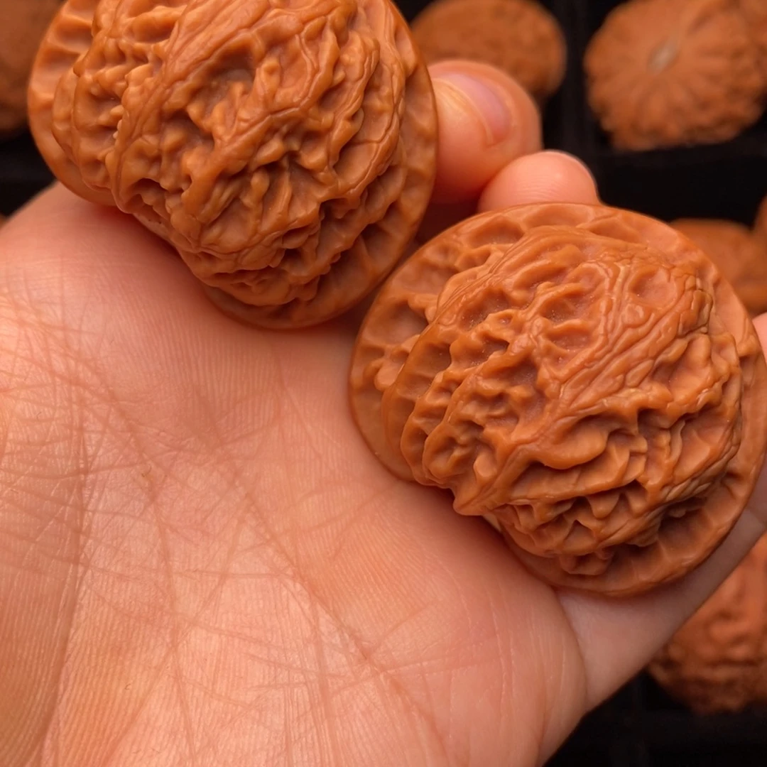 文玩核桃把件秦岭野生核桃