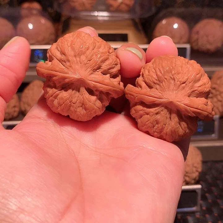 文玩核桃把件太行雪狮