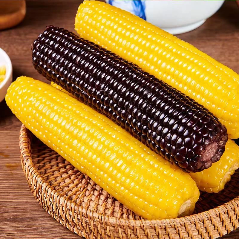 25年黑白黄三种口味10根5-6斤】东北黑糯玉米黄糯玉米新鲜代餐玉米