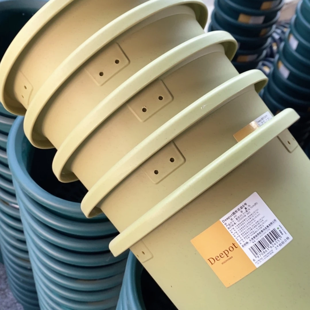 树脂5个爱丽丝6号果绿无托