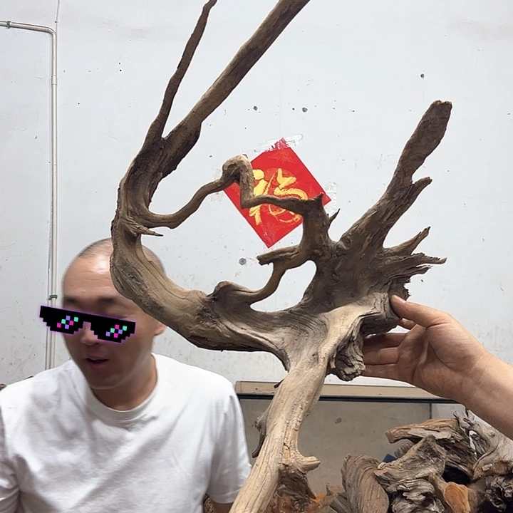 柏木许***康我们都是好孩子啊我的
