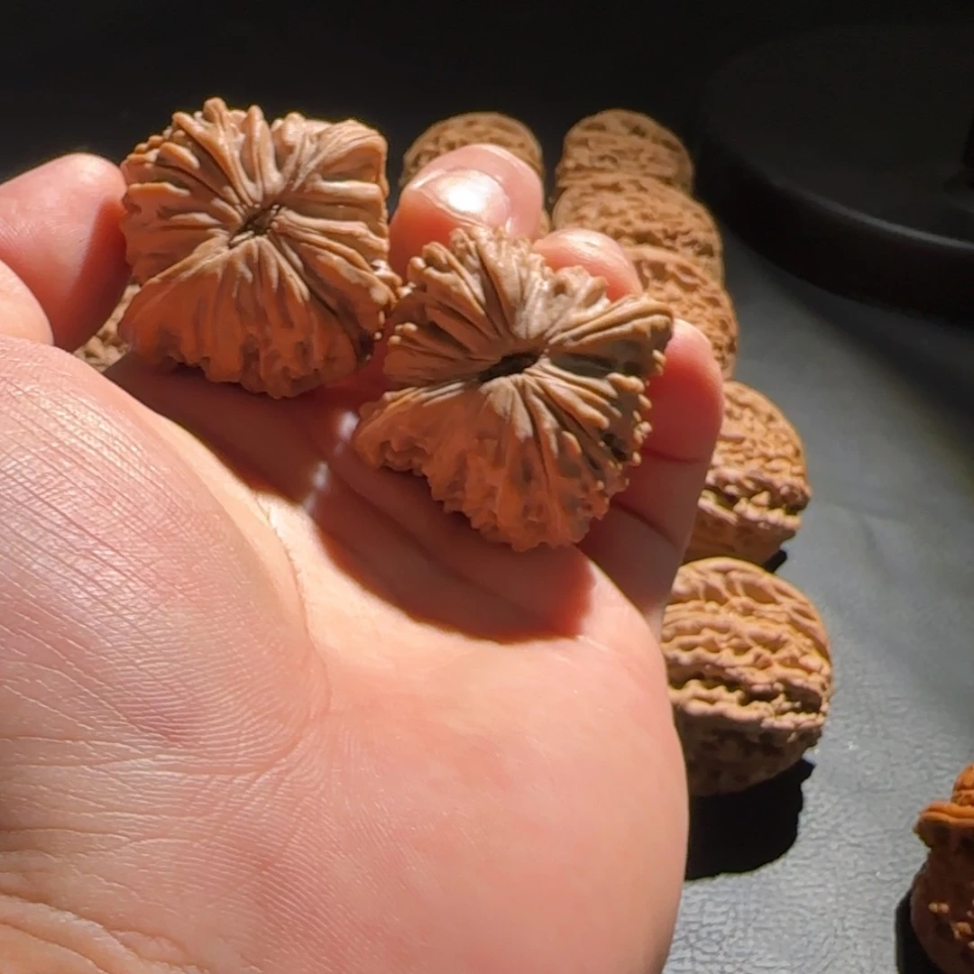 扇子十***夜几核福利111111