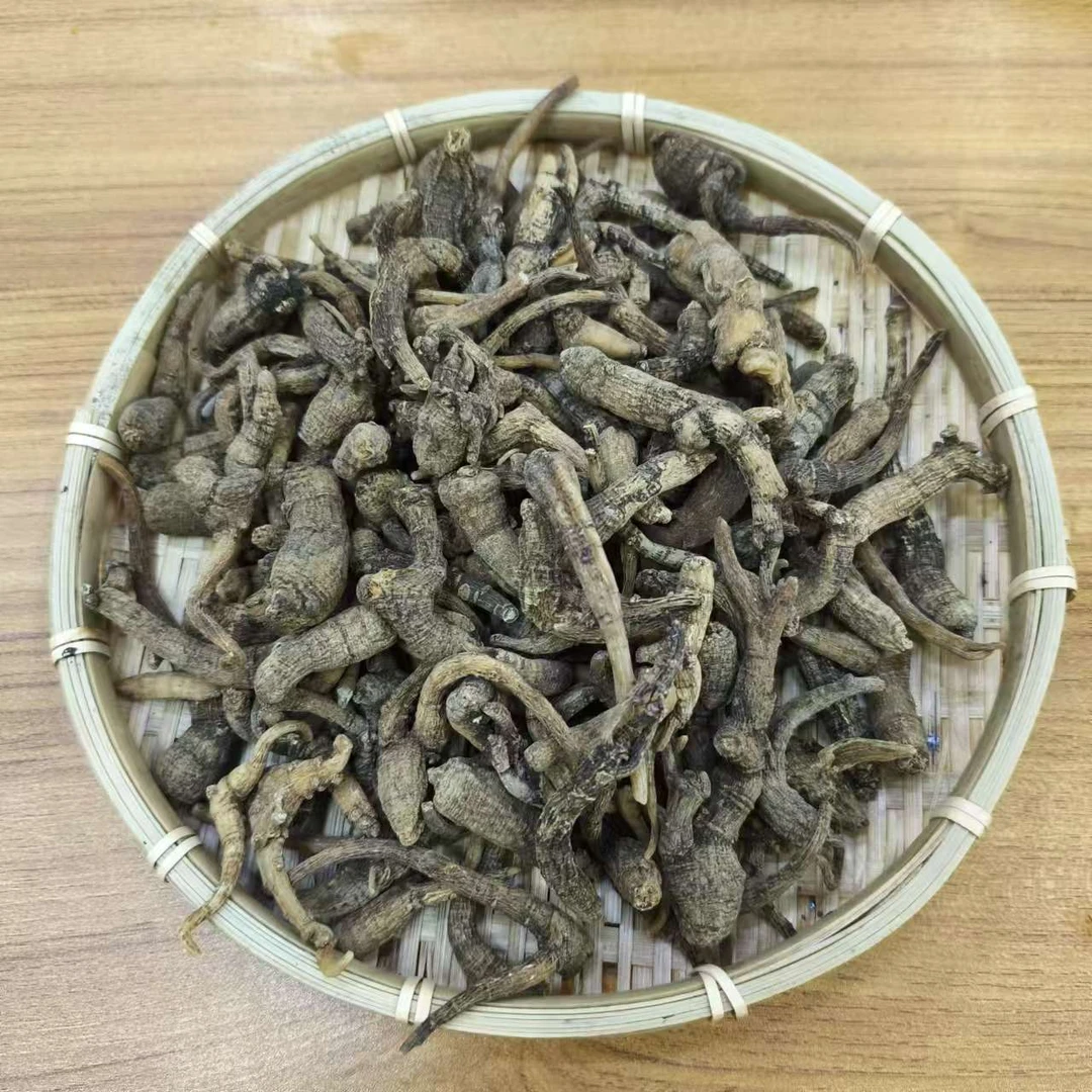 紫灵菩提参【袁瑞泽推荐】