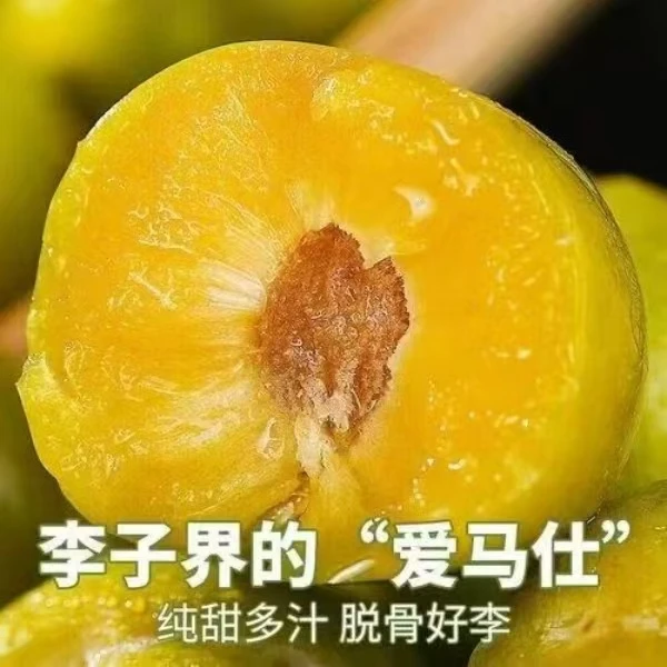 正宗蜂糖李蜂蜜脆甜李子当季新鲜水果