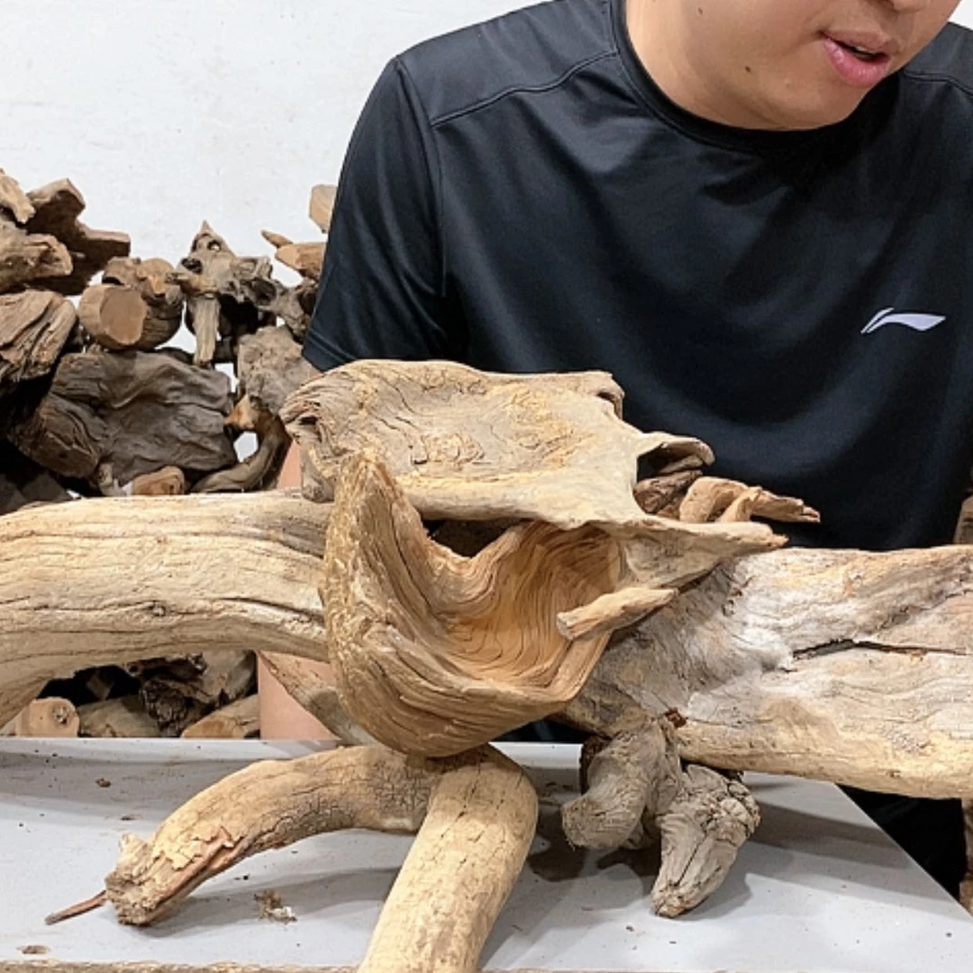 【闪购商品】柏木用****6我们都是好孩子