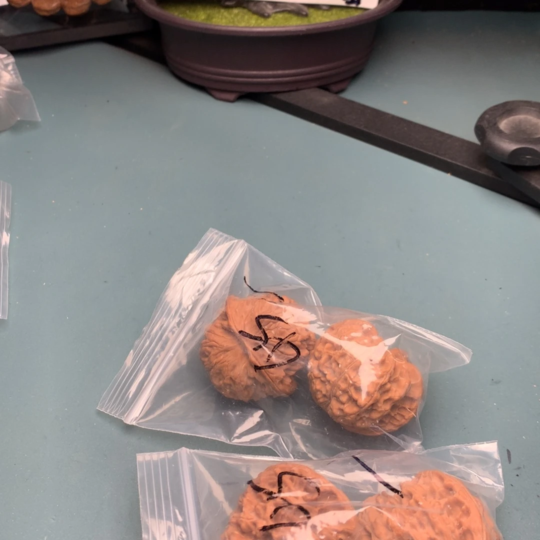 文玩核桃把件苹果4243