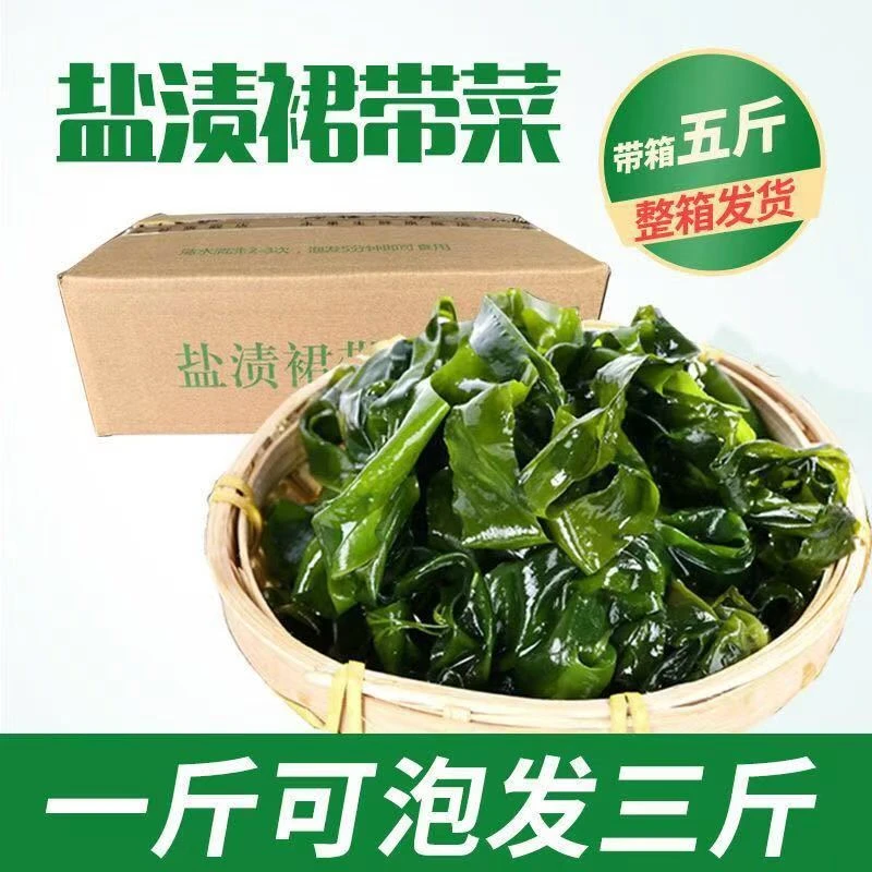 抢！含箱5斤头茬裙带菜凉拌煲汤火锅