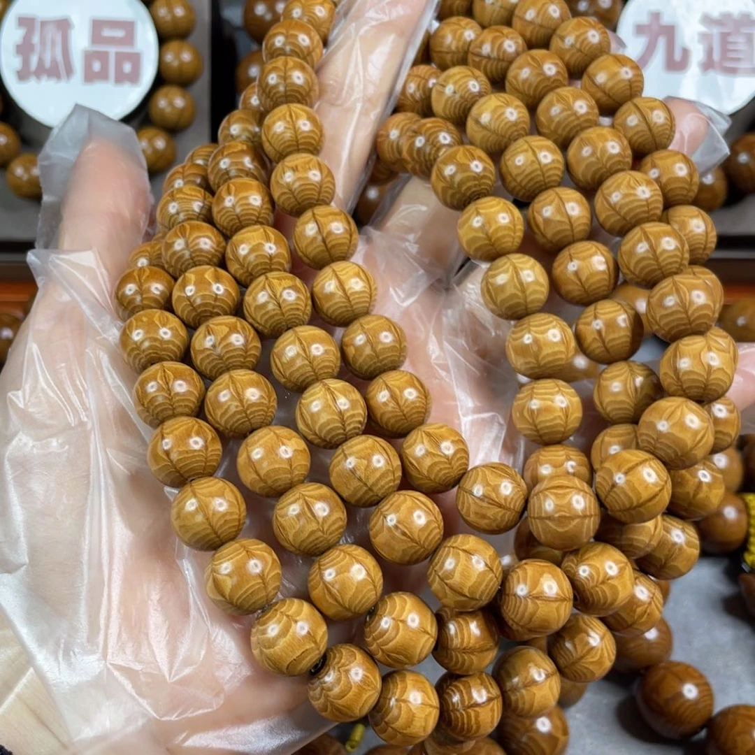 六道木黄金底， 毕业1.2