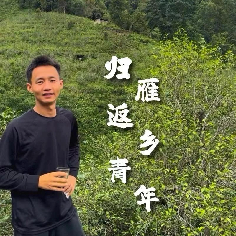 【惊喜礼包】/普洱茶/高端品鉴 主播讲解为主
