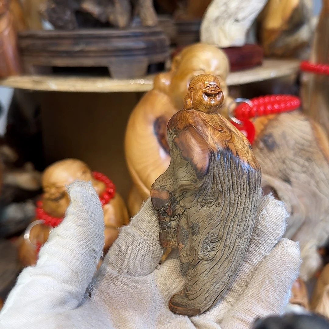 柏木（崖柏）666666