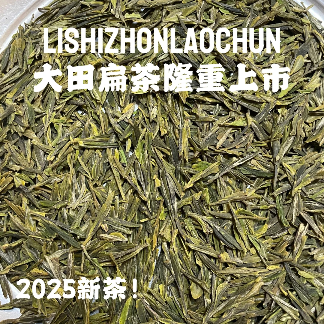 李氏中崂春2025崂山大田扁茶回甘豆香5/1