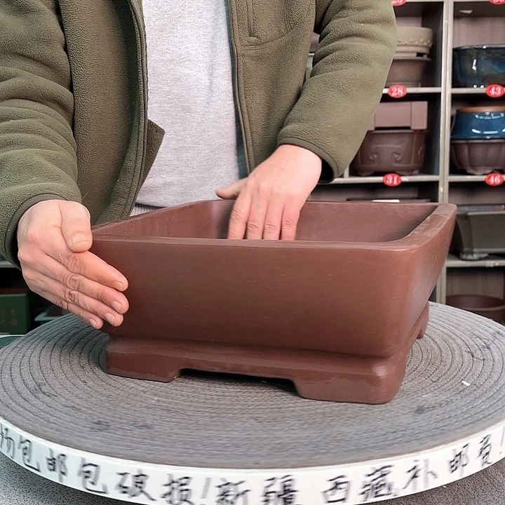 紫砂花盆旺***包紫砂的花也太美