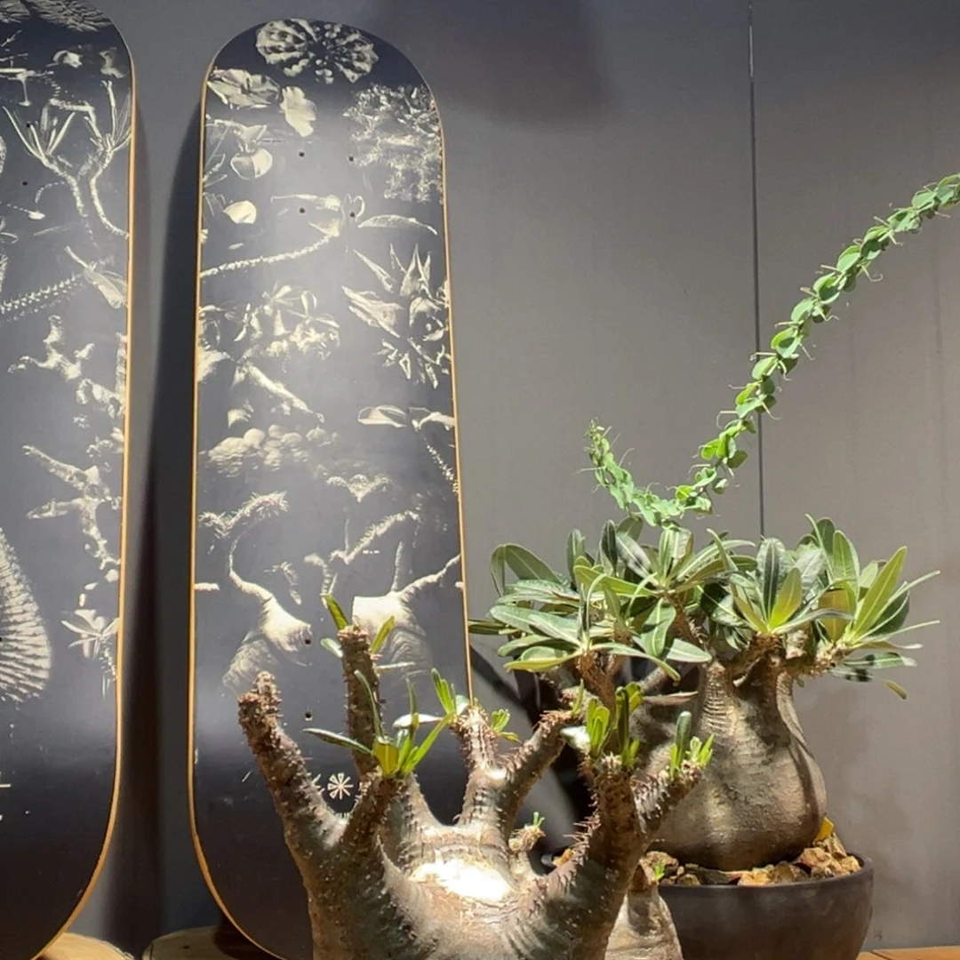 宫宫宫宫宫宫宫宫宫宫宫宫