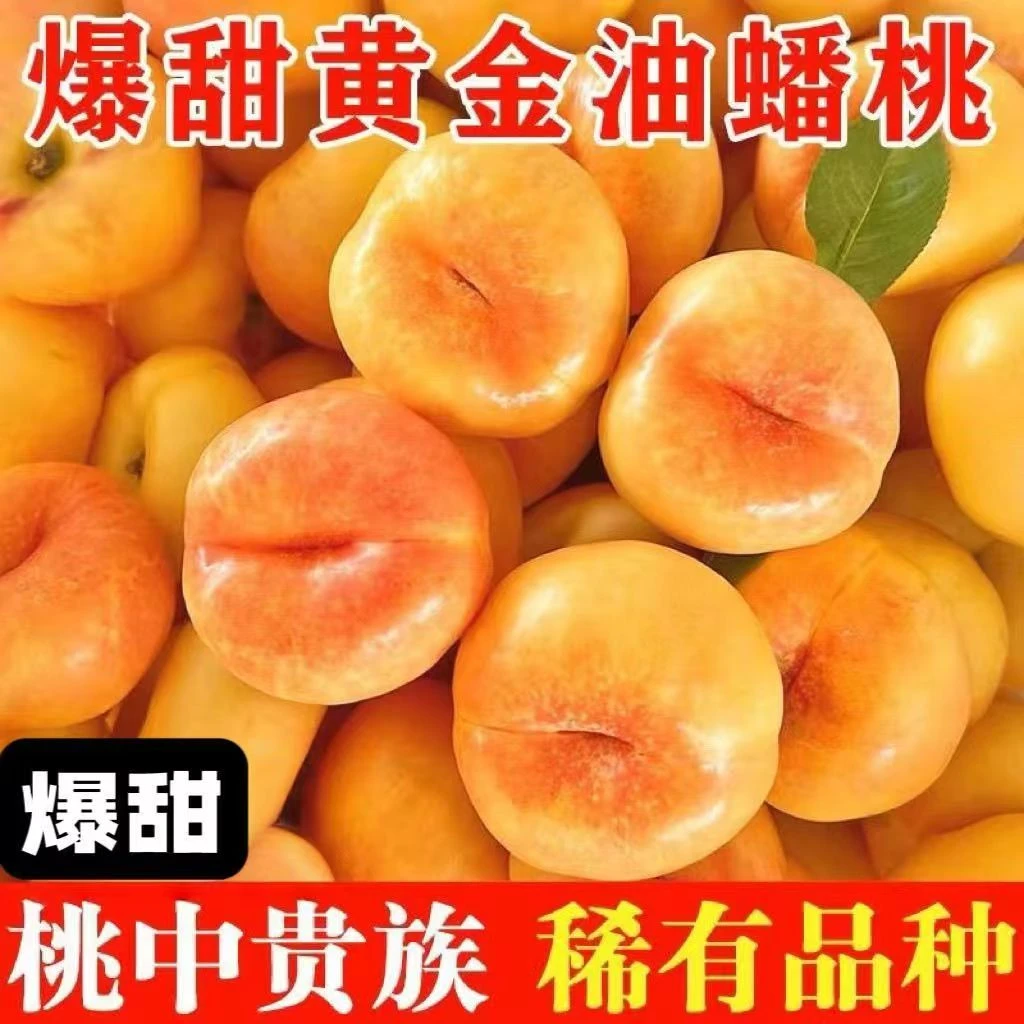 黑石汪中通极兔头茬彩虹黄金油蟠桃新鲜现摘现发露天当季孕妇水果
