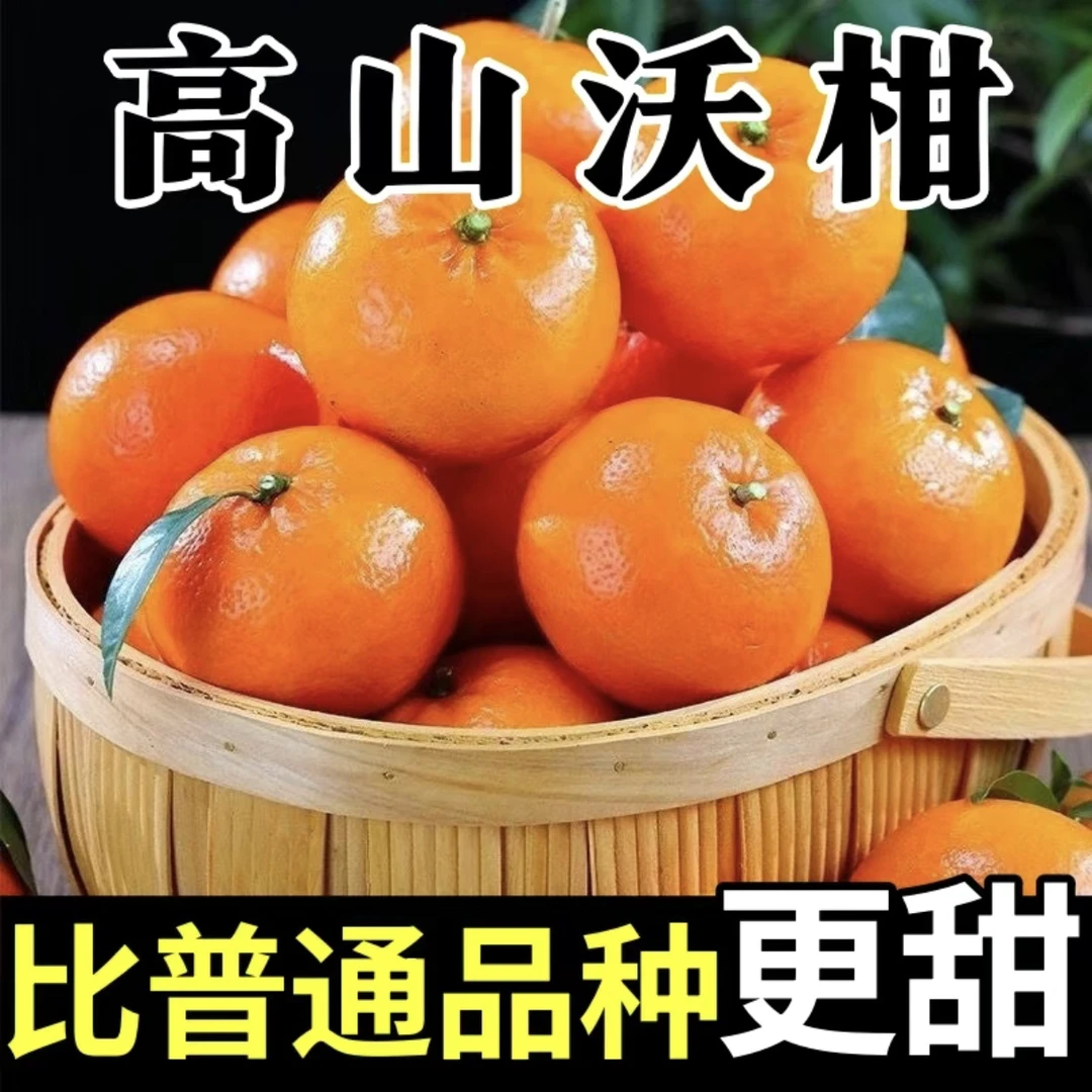 【正宗沃柑】新鲜应季水果多汁现摘云南昆明发货