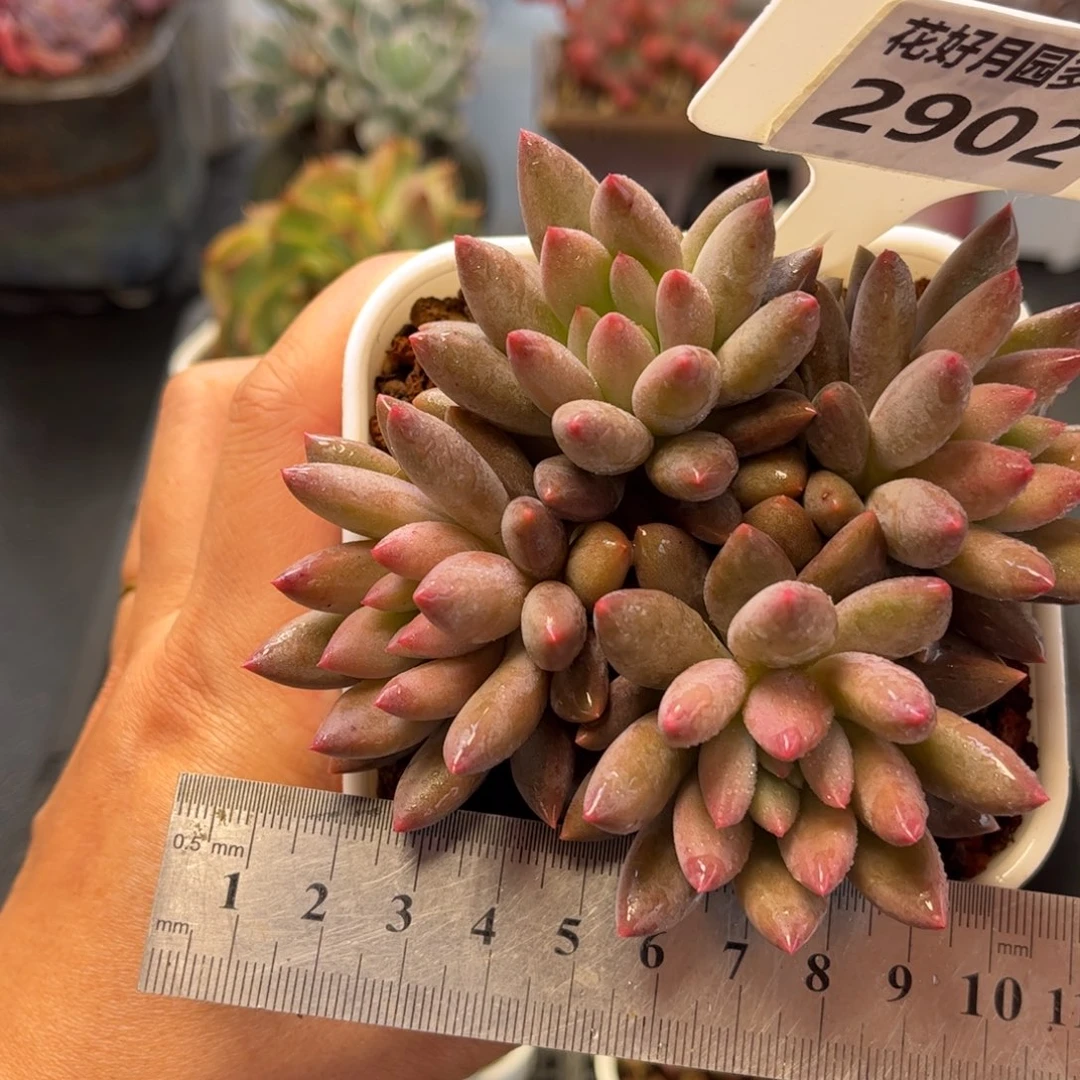 2902 满30包邮天冷地区必拍保温箱