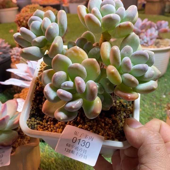 0130啊啊啊啊啊啊啊啊啊啊啊