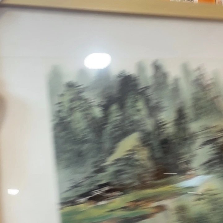 【闪购商品】国画用****4嘉禾馆藏精品国画