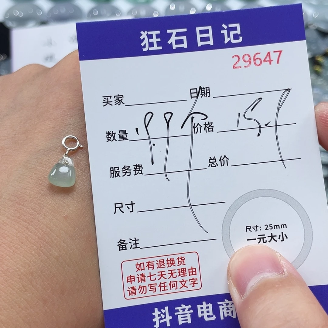 翡翠银S925镶嵌颈饰