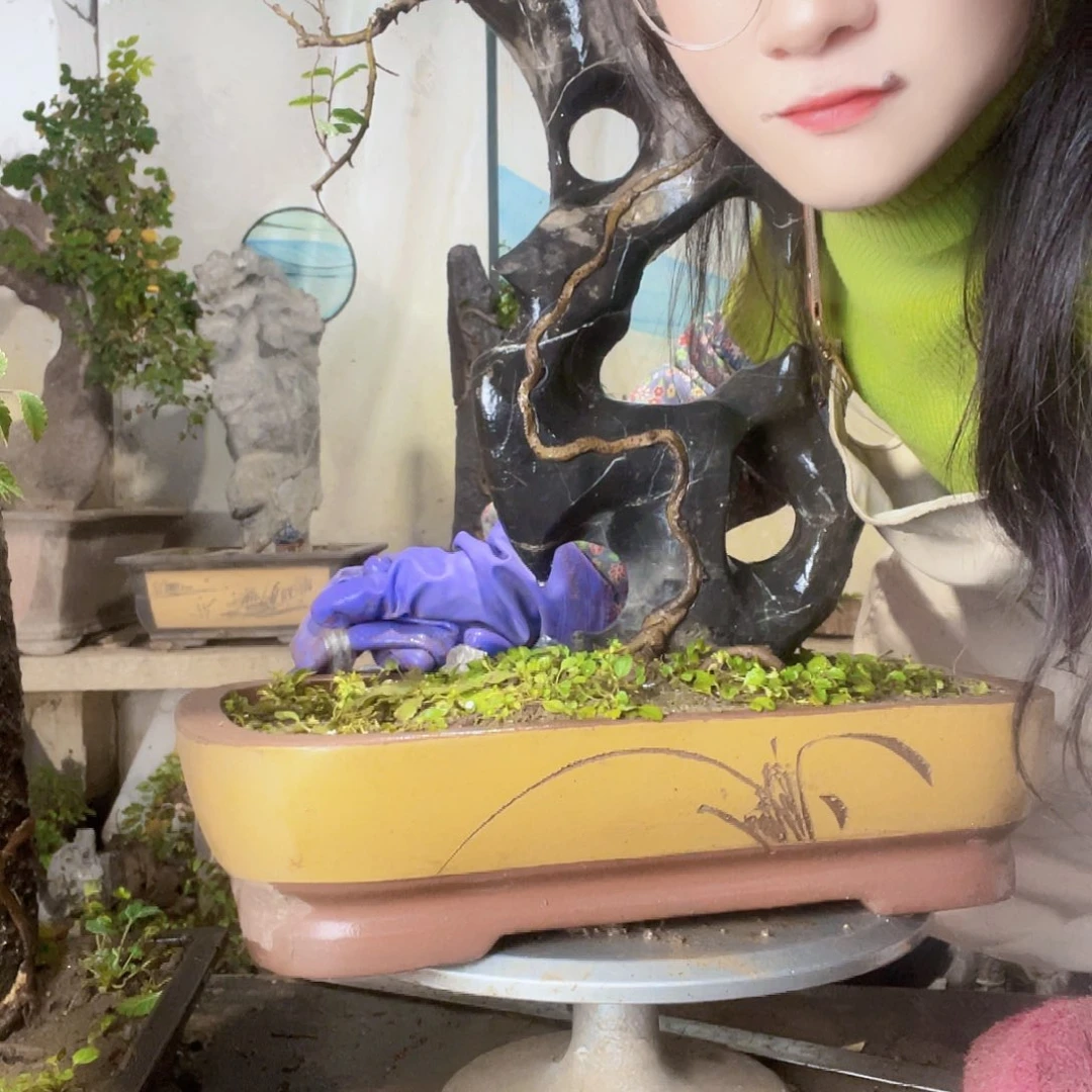 偷***静无花朵直播间不见不散你