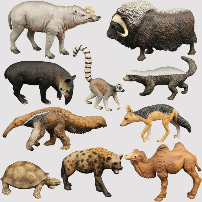 仿真实心中美貘食蚁兽鹿豚鬣狗猞猁土豚犰狳山猫耳廓狐骆驼模型