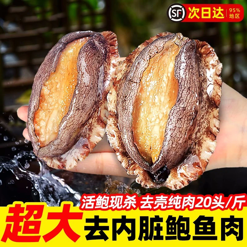 鲍鱼肉鲜活冷冻去牙去壳新鲜活鲍现剥去内脏火锅食材小鲍鱼海鲜
