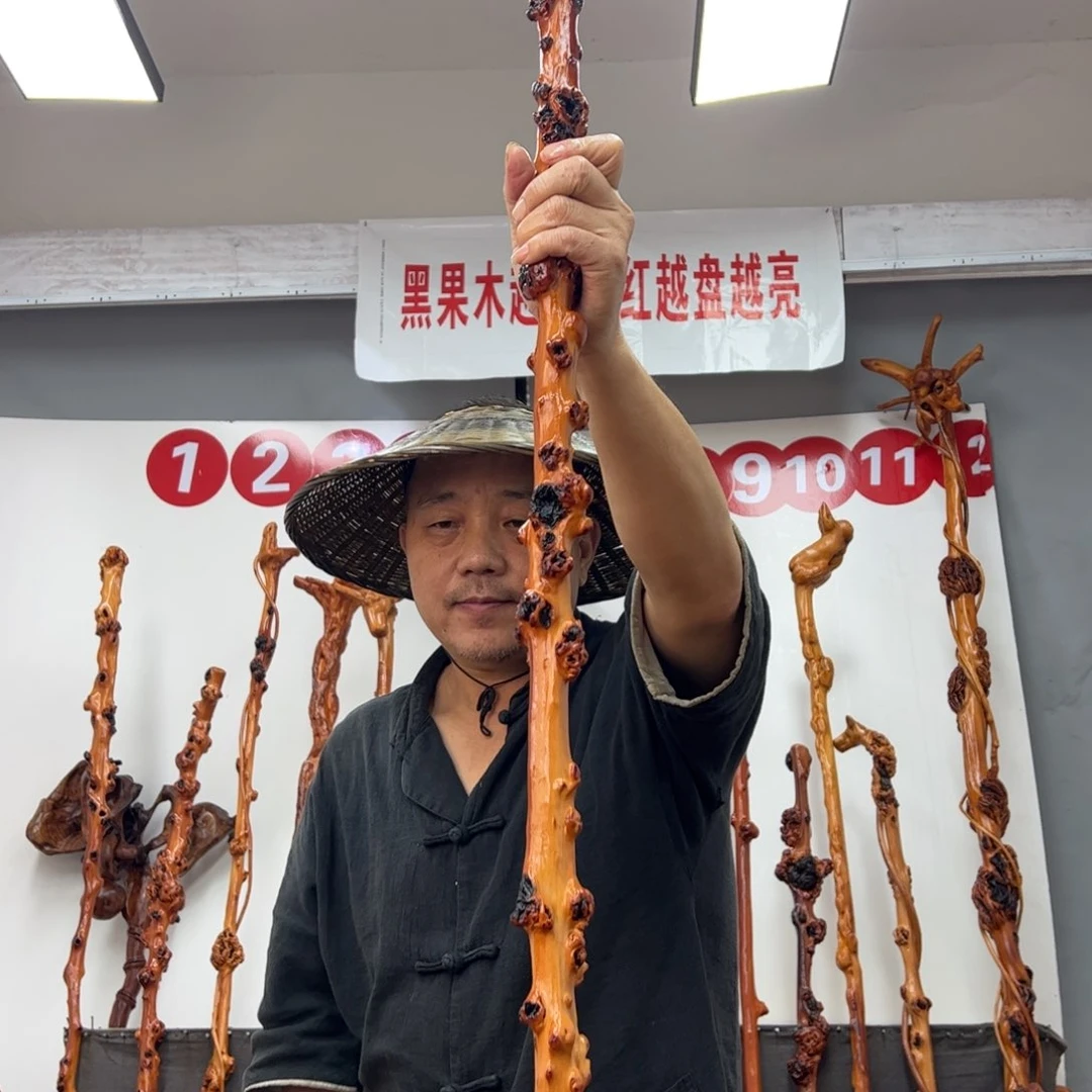 1***0黑果木其他黑果木583