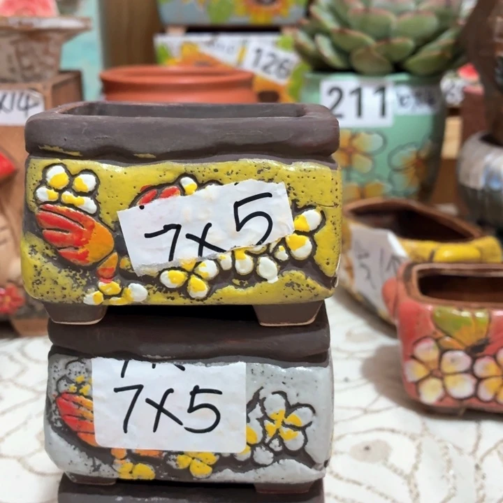 多肉花盆满15包邮