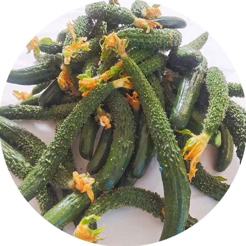 现摘现发新鲜黄瓜扭腌制酱菜专用小黄瓜，顺丰快递包邮