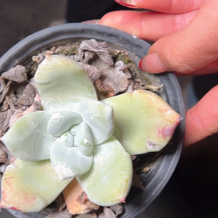 1352哈哈哈哈哈哈哈哈