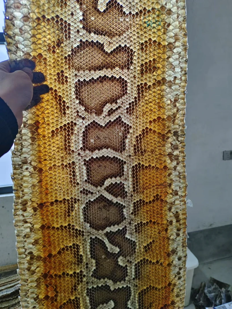 整条蟒蛇皮二胡高胡三弦手鼓热瓦普低胡中胡0