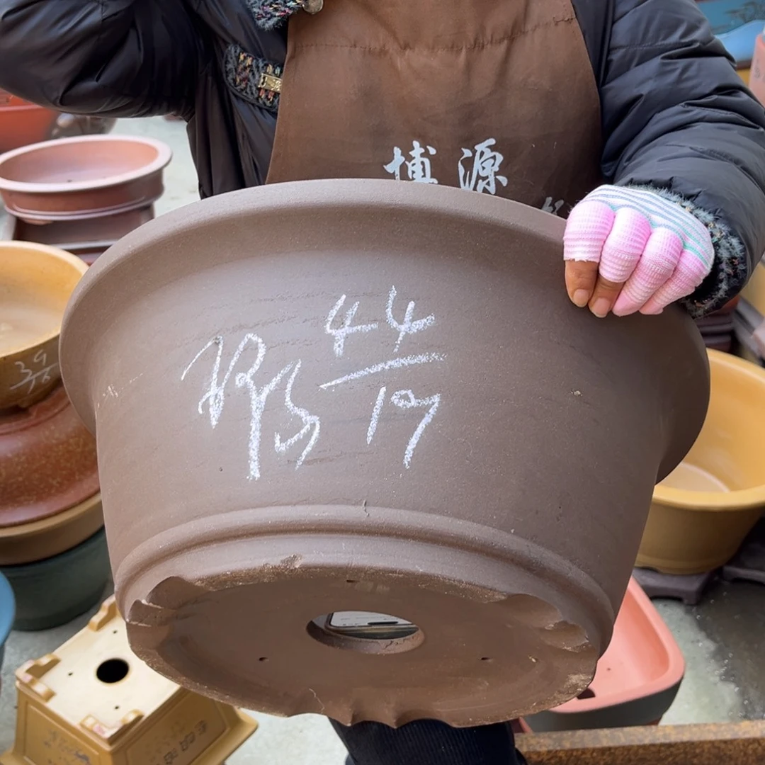 花盆紫砂盆景艺术