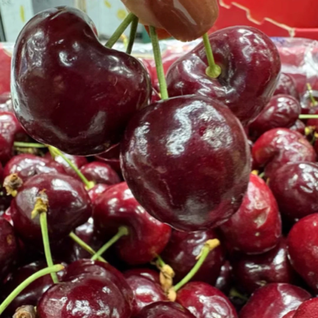 车厘子单J原装10斤冰熊