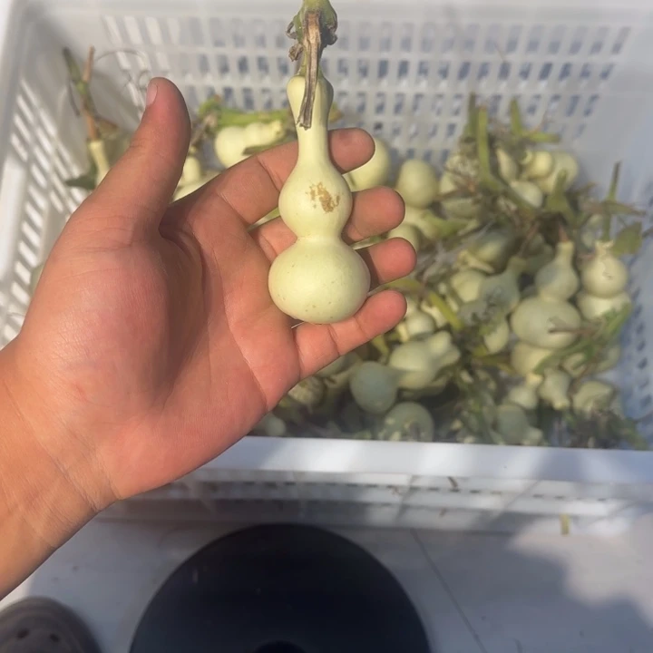 西***人感谢大哥支持兄弟