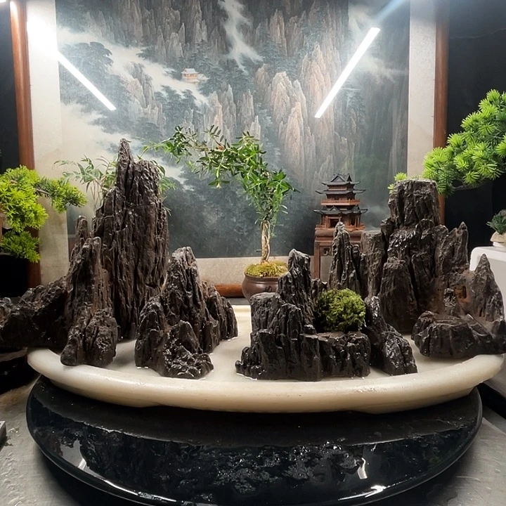 8823+3100盆景鱼缸造景