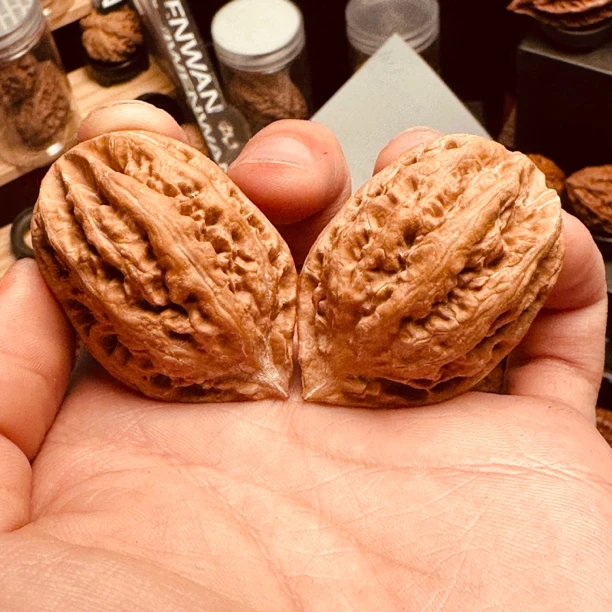 【蜡皮炮弹】e文玩野生楸子蜡皮炮弹