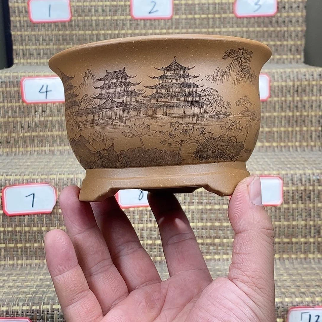 紫砂花盆我在等一