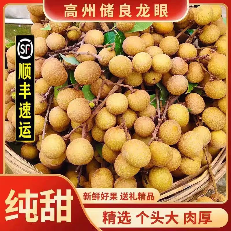 【顺丰冷链包邮】广东高州老树储良龙眼大果肉厚新鲜甜脆多汁特大果