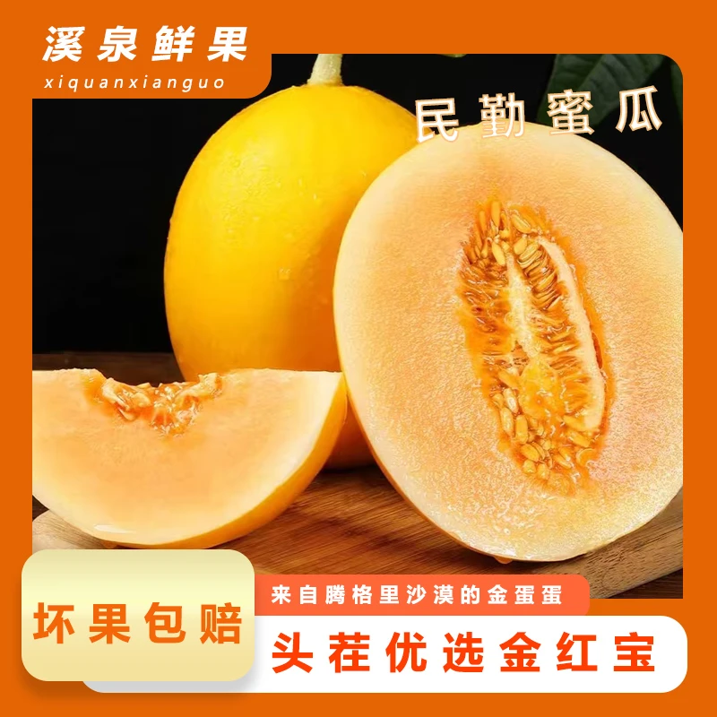 【沙漠里的金蛋蛋】民勤沙漠蜜瓜正宗金红宝净重6-7斤2个装