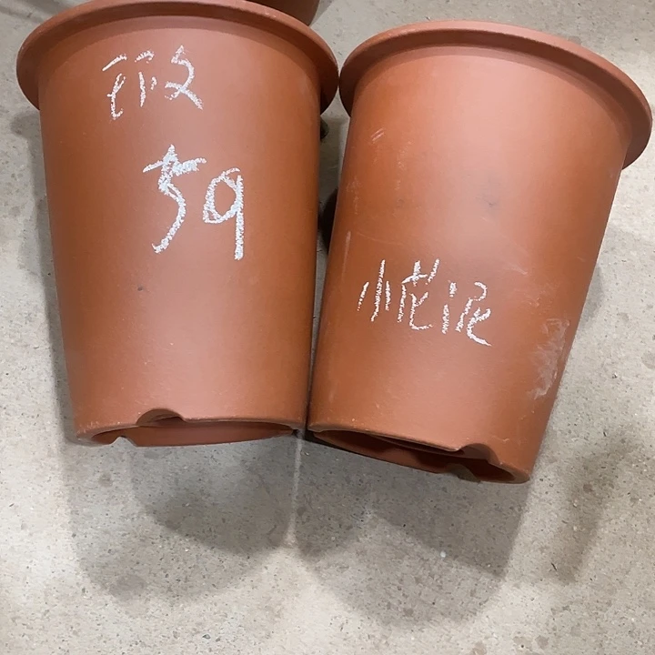 宜兴丁山张伟花盆