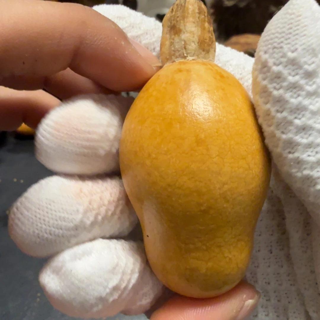 一***航66……………………………………