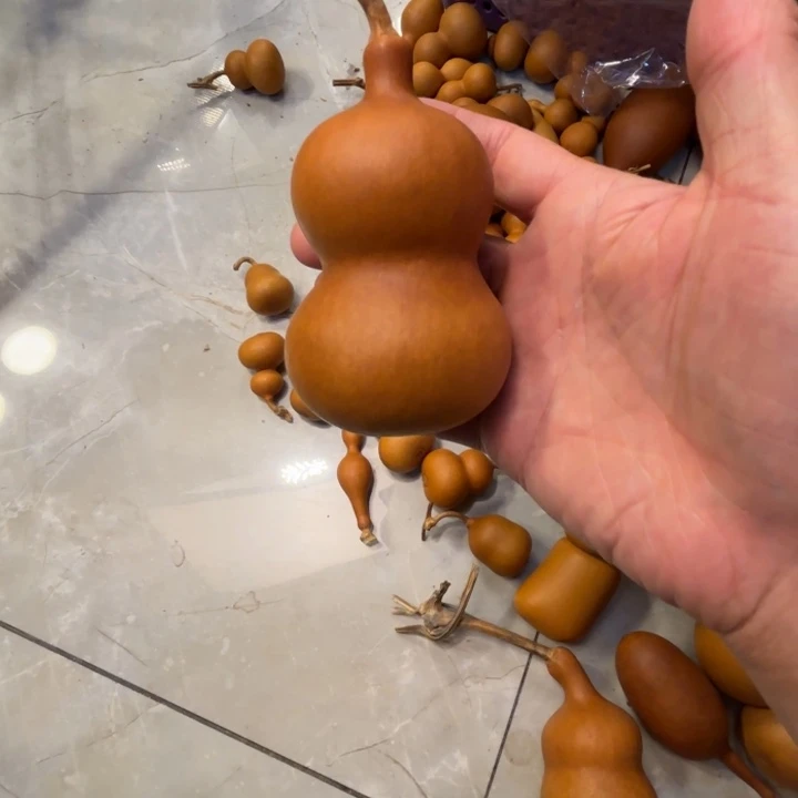 秋*秋天的一把八宝葫芦，八宝葫芦