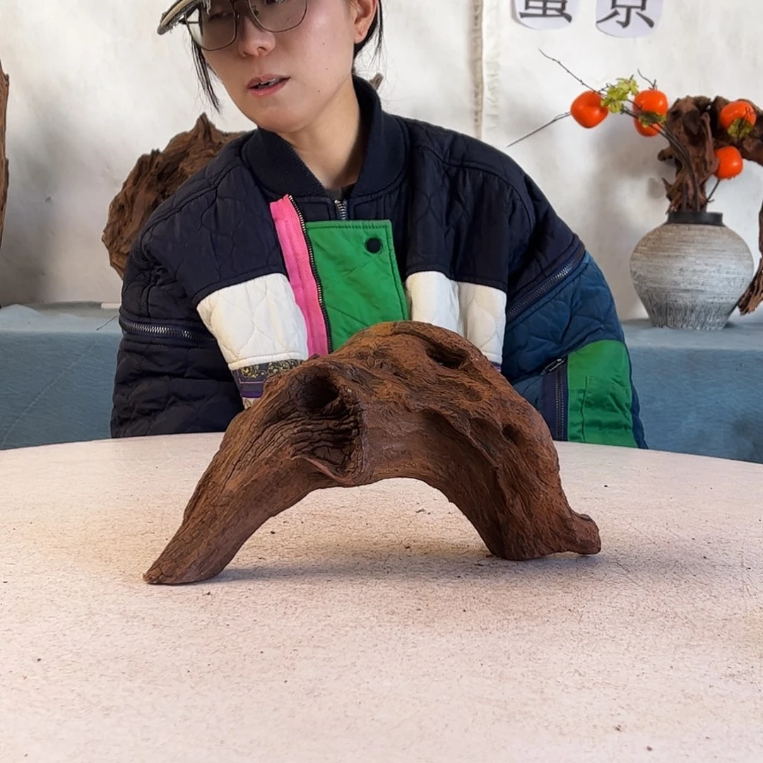 沉木造景寄居蟹造景