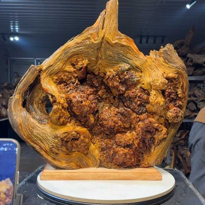 木七王一刀琥珀木38