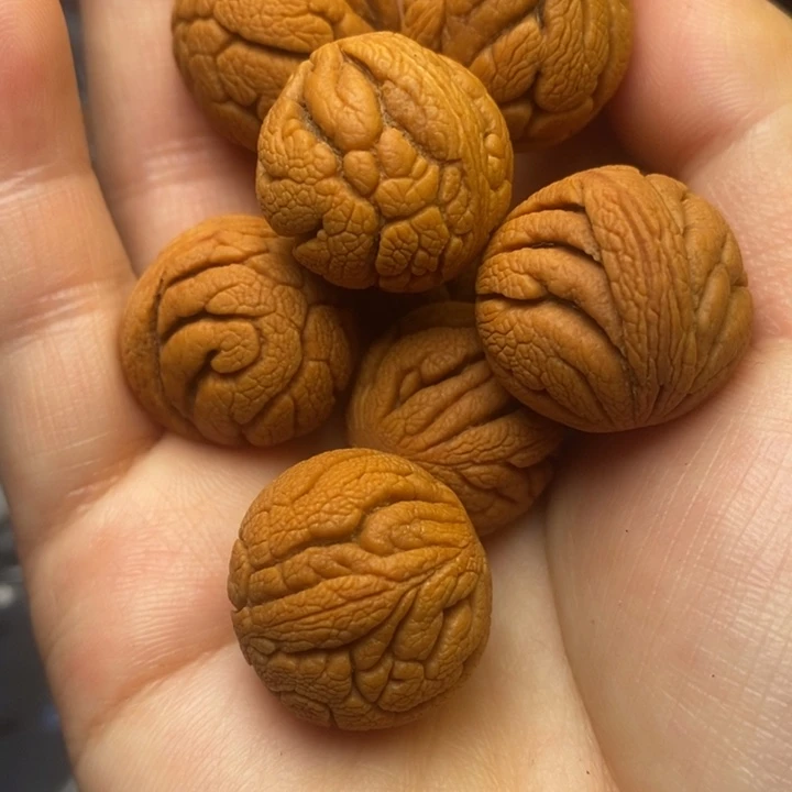 桃核吊坠秦岭山野生桃核