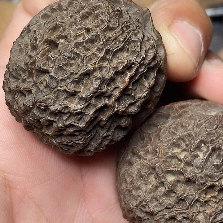 把件文玩核桃志成云铁文玩44