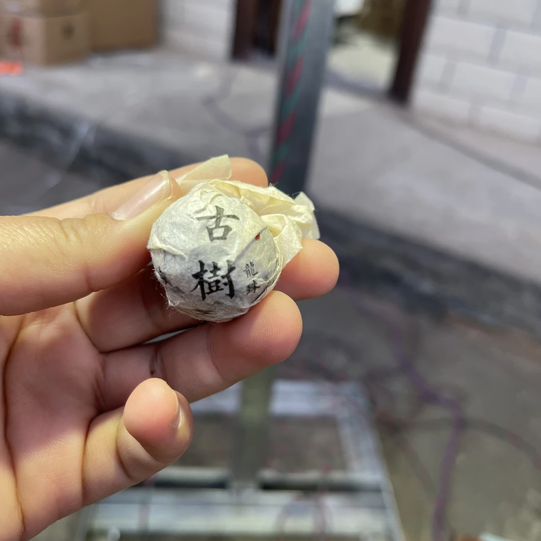 2018年公弄古树春茶龙珠 12月31【1号】