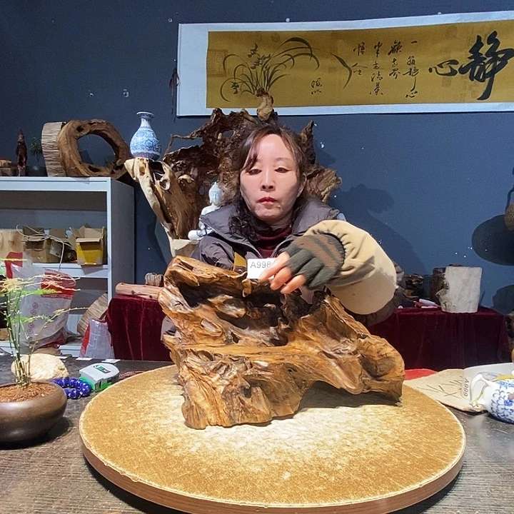 用****豆998株木的随行的根艺