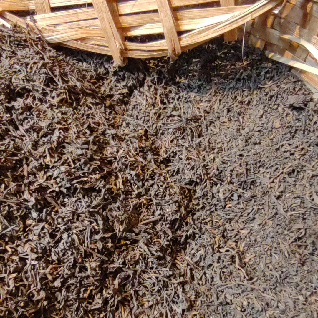 满小茉 2000初代六堡茶 广西梧州正宗六堡茶