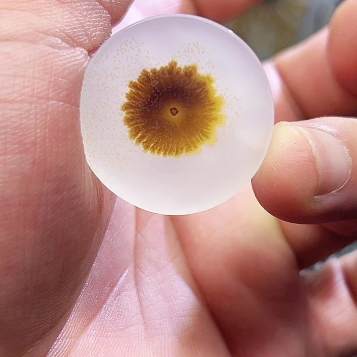 ╰****玛瑙/玉髓未镶嵌珠宝半成品
